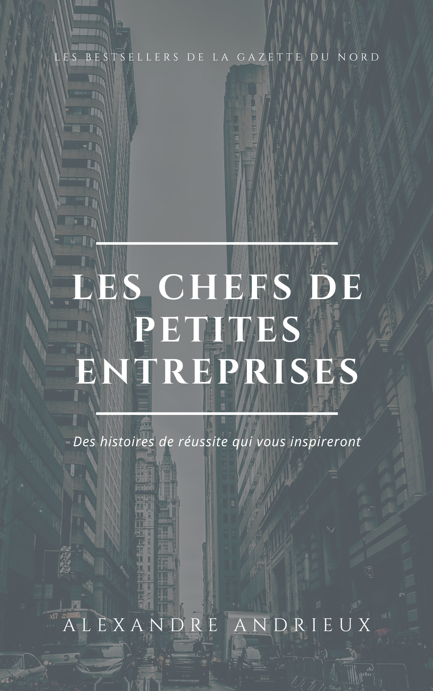 Gris Bâtiments Entreprise Livre Couverture